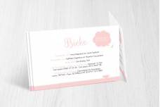 Meisje met kinderwagen Meisje met kinderwagen